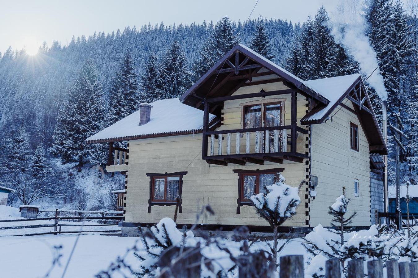 Villa 7+Я Werchowyna Exterior foto